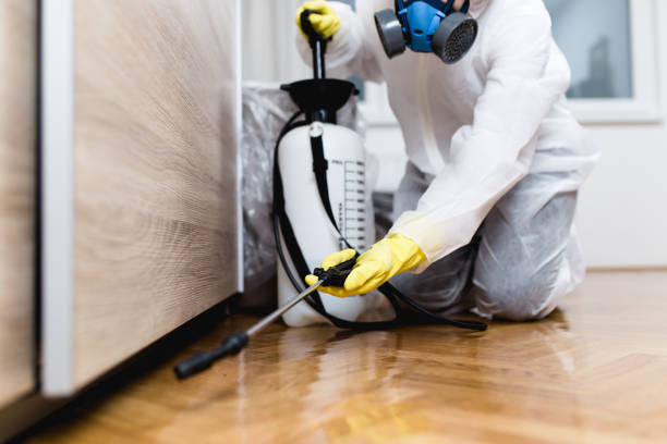 Best Best Pest Control Companies  in Carroll, IA