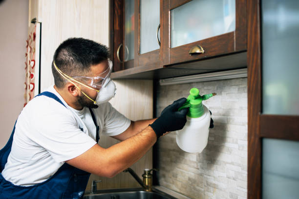 Best Pest Prevention Services  in Carroll, IA