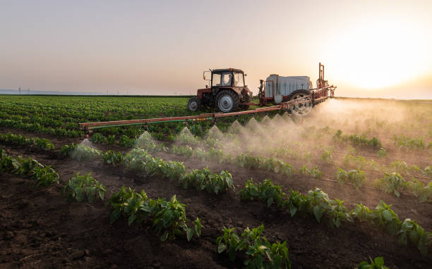Best Ant Control Services  in Carroll, IA