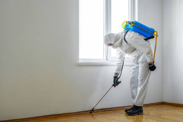 Best Affordable Pest Control Services  in Carroll, IA