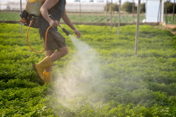 Best Pest Removal Services  in Carroll, IA