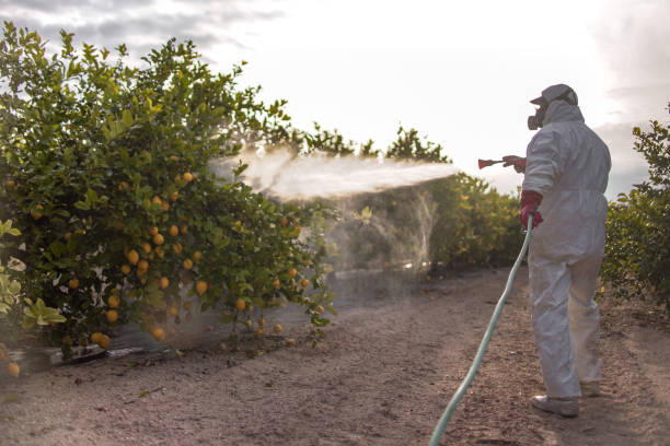 Best Pest Control Near Me  in Carroll, IA