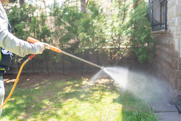 Best Wasp Removal Services  in Carroll, IA