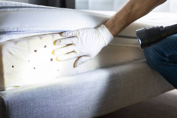 Pest Control for Restaurants in Carroll, IA